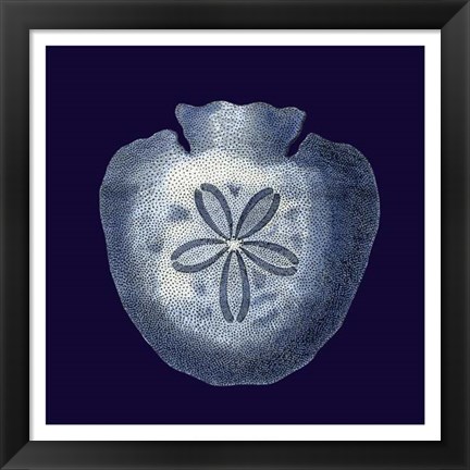 Framed Indigo Shells III Print