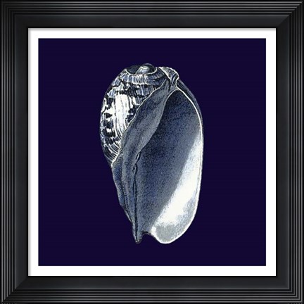Framed Indigo Shells V Print