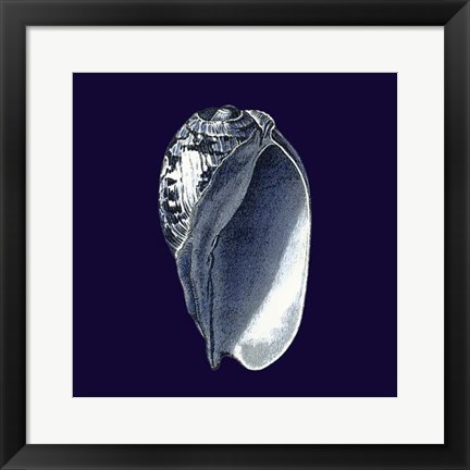 Framed Indigo Shells V Print