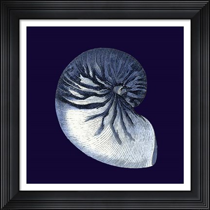 Framed Indigo Shells VII Print