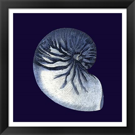 Framed Indigo Shells VII Print