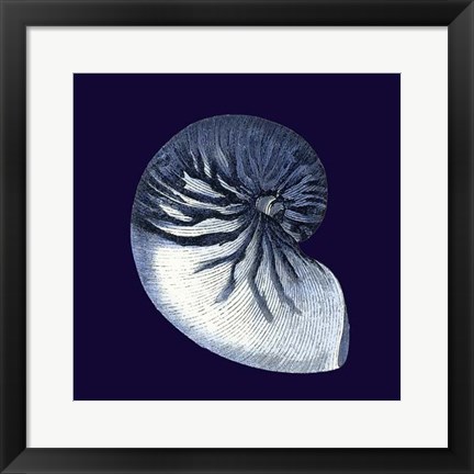 Framed Indigo Shells VII Print