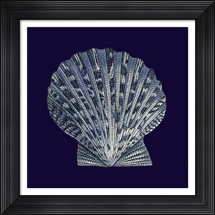 Framed Indigo Shells VIII Print