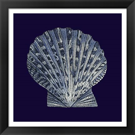 Framed Indigo Shells VIII Print