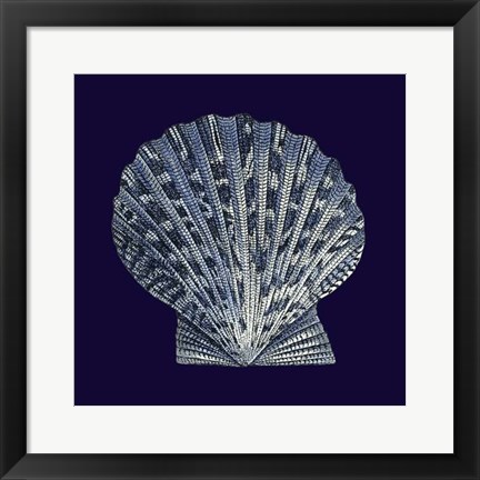 Framed Indigo Shells VIII Print