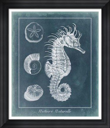 Framed Azure Seahorse Study I Print
