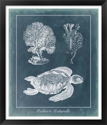 Framed Azure Sea Turtle Study I Print