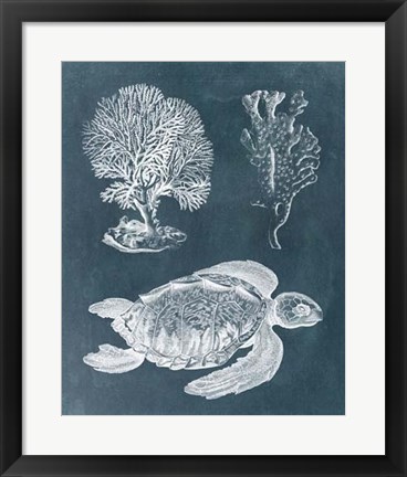 Framed Azure Sea Turtle Study I Print