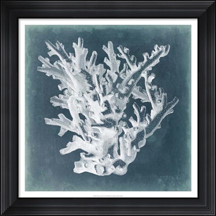 Framed Azure Coral I Print