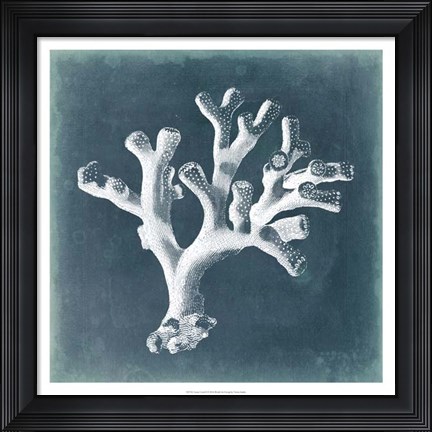Framed Azure Coral II Print