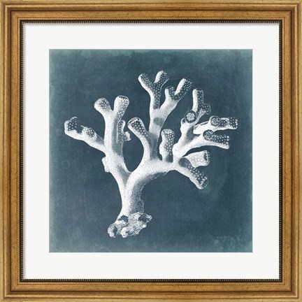 Framed Azure Coral II Print