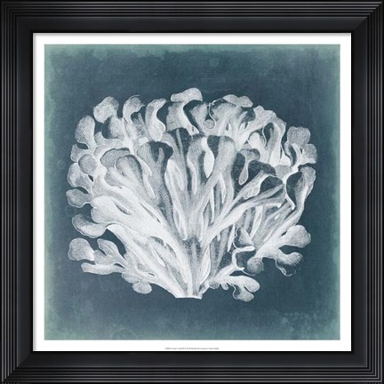 Framed Azure Coral III Print