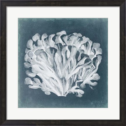 Framed Azure Coral III Print