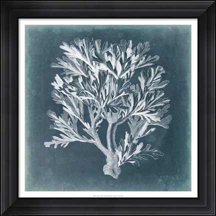 Framed Azure Coral IV Print