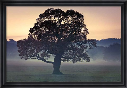 Framed Evening Wisdom Print