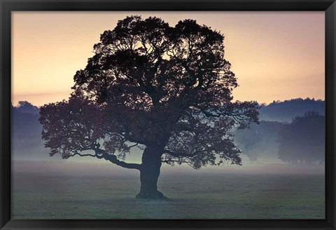 Framed Evening Wisdom Print