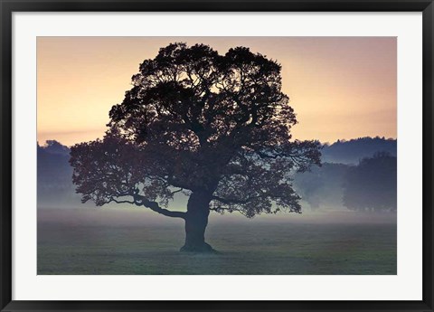 Framed Evening Wisdom Print