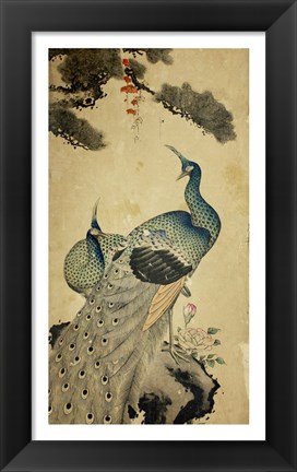 Framed Korean Peacocks Print