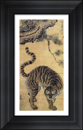 Framed Tiger Under the Pine Tree Print