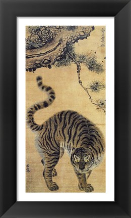 Framed Tiger Under the Pine Tree Print