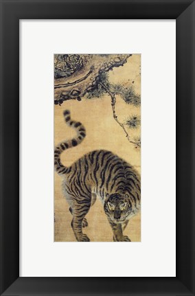 Framed Tiger Under the Pine Tree Print