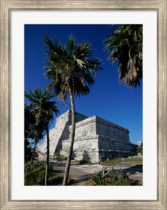 Framed Palm trees near El Castillo Print