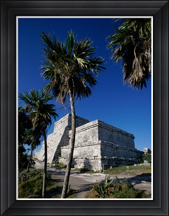 Framed Palm trees near El Castillo Print