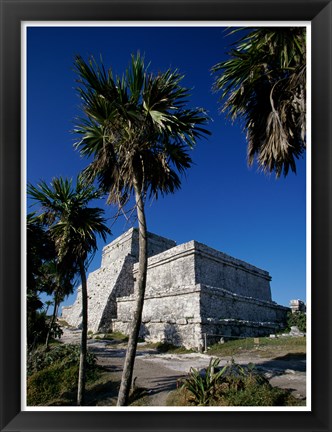 Framed Palm trees near El Castillo Print