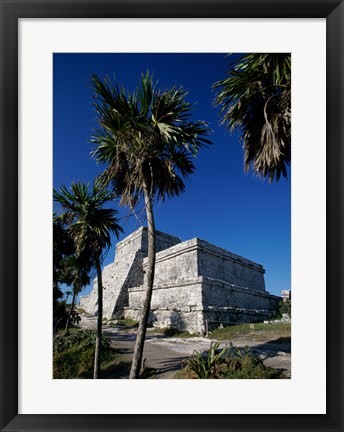 Framed Palm trees near El Castillo Print