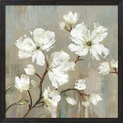 Framed Sweetbay Magnolia I Print
