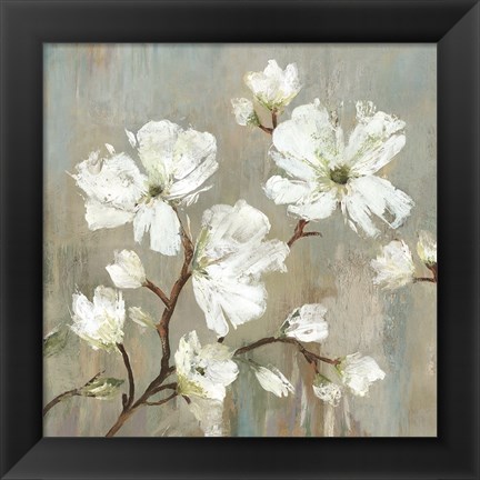 Framed Sweetbay Magnolia I Print