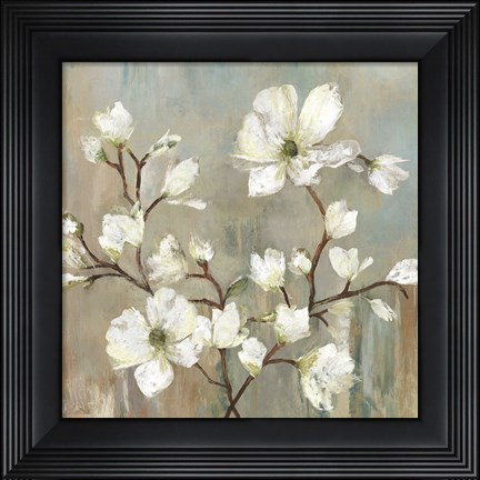 Framed Sweetbay Magnolia II Print