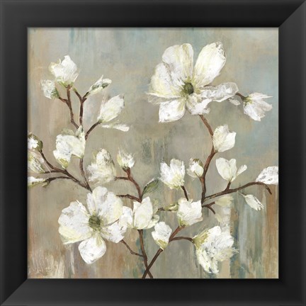 Framed Sweetbay Magnolia II Print