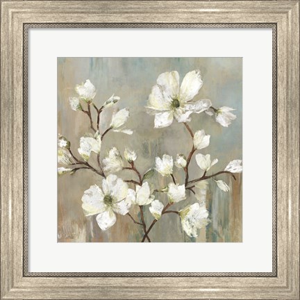 Framed Sweetbay Magnolia II Print