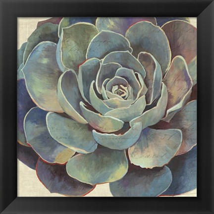 Framed Succulence I Print