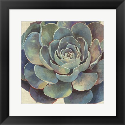 Framed Succulence I Print