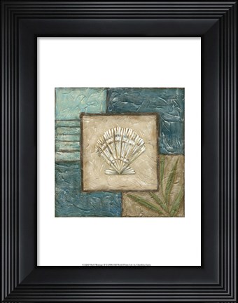 Framed Shell Montage II Print