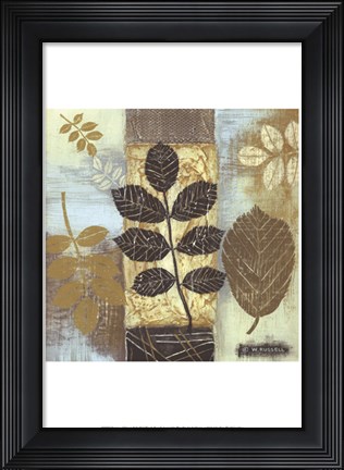Framed Patterns of Nature II Print