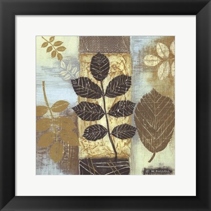 Framed Patterns of Nature II Print