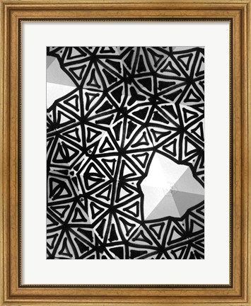 Framed Buckminster I Print