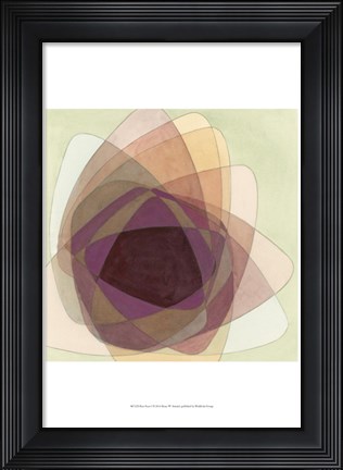 Framed Rose Facet I Print