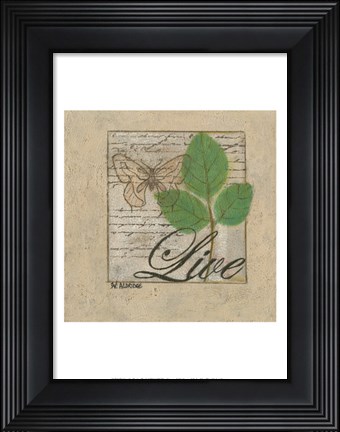 Framed Gentle Butterfly I Print