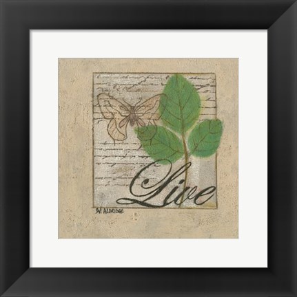 Framed Gentle Butterfly I Print