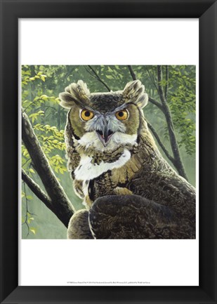 Framed Great Horned Owl Print