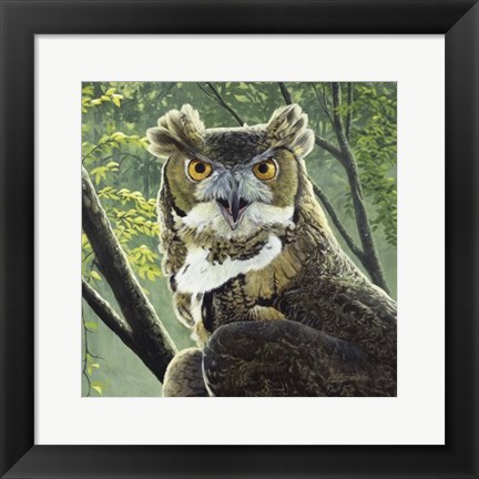 Framed Great Horned Owl Print