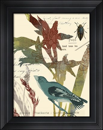 Framed Exotic Blossom II Print
