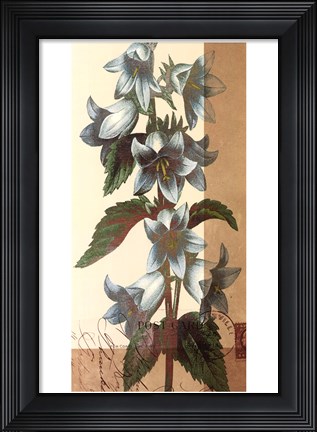 Framed French Blue I Print