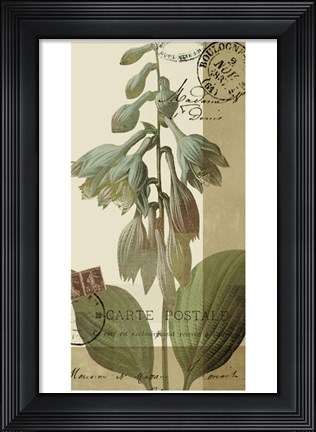 Framed French Blue II Print