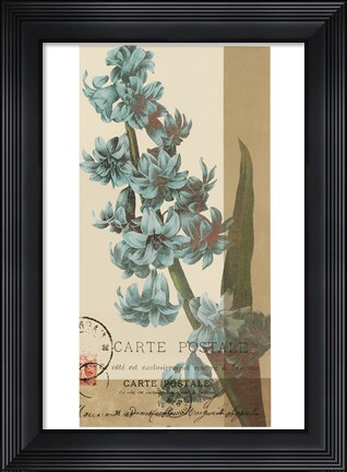 Framed French Blue III Print