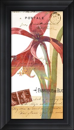 Framed Crowning Glory I Print